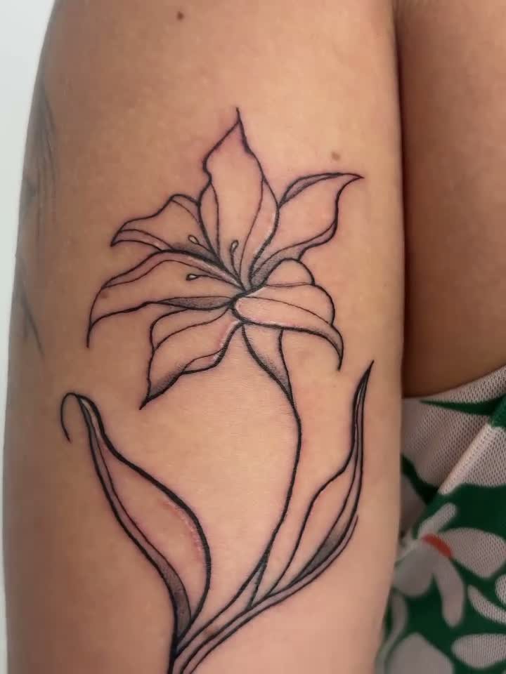 Trabalho de Agatha
