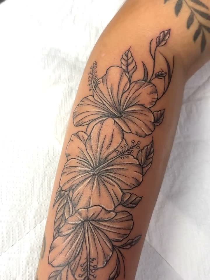 Trabalho de Agatha