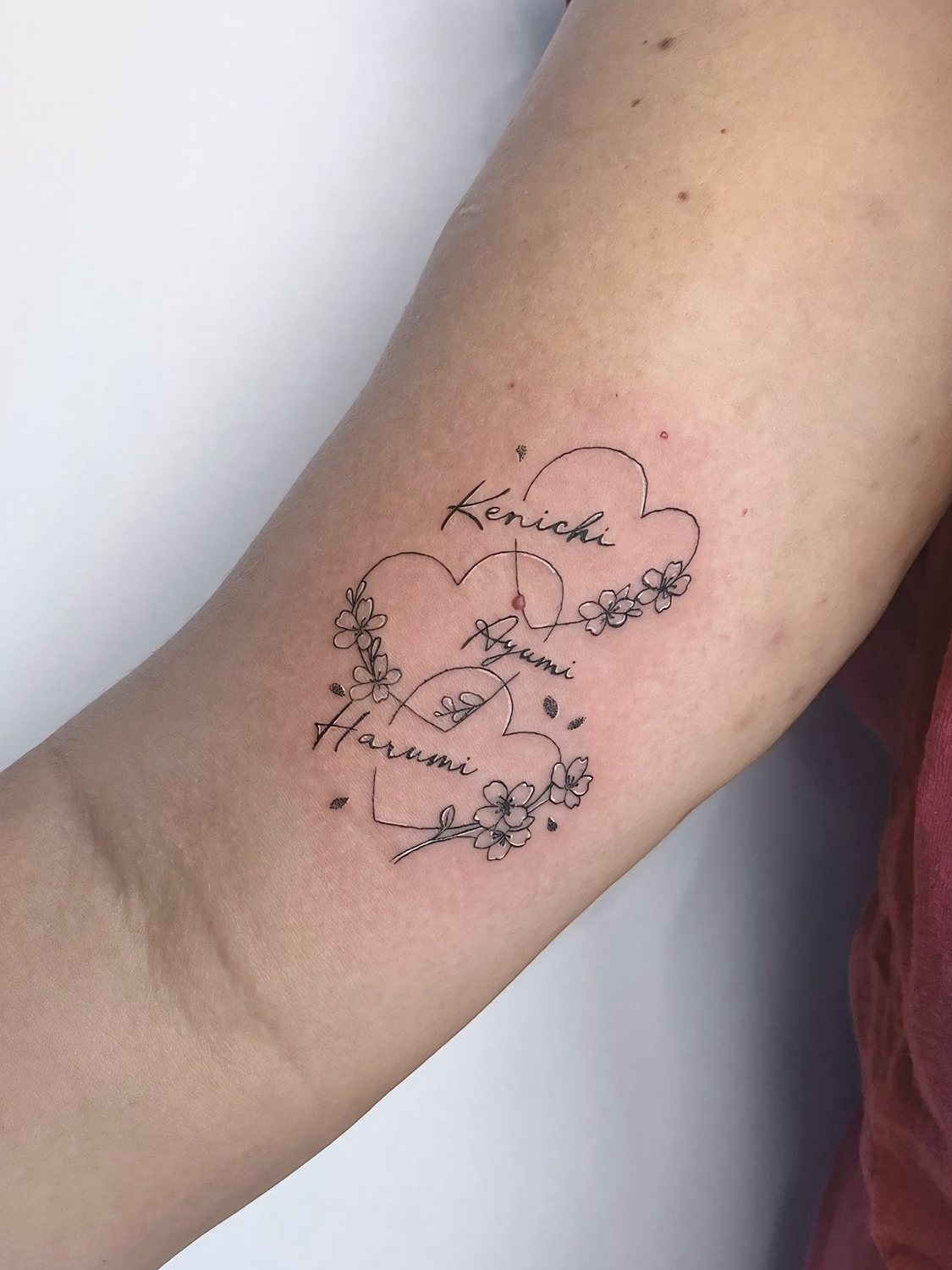 Trabalho de Daniela de Amorim
